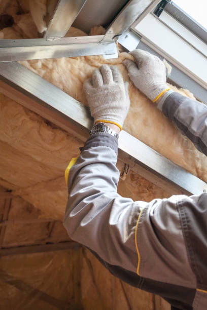 Best Reflective Insulation  in Annandale, VA