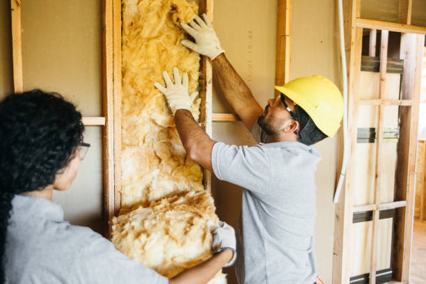 Best Spray Foam Insulation  in Annandale, VA